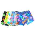 boxer stared